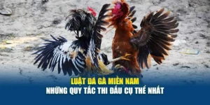 Luật Đá Gà Miền Nam - Những Quy Tắc Thi Đấu Cụ Thể Nhất 9 Luật Đá Gà Miền Nam - Những Quy Tắc Thi Đấu Cụ Thể Nhất