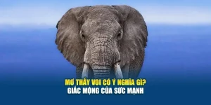 Mơ Thấy Voi Có Ý Nghĩa Gì? - Giấc Mộng Của Sức Mạnh 5 Mơ Thấy Voi Có Ý Nghĩa Gì? - Giấc Mộng Của Sức Mạnh
